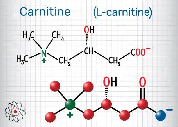 L Carnitine.jpg